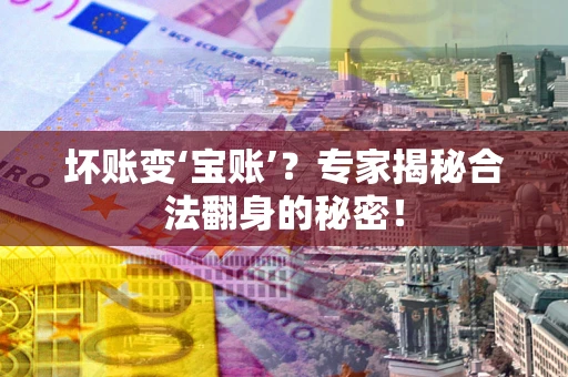 北京坏账变‘宝账’？专家揭秘合法翻身的秘密！